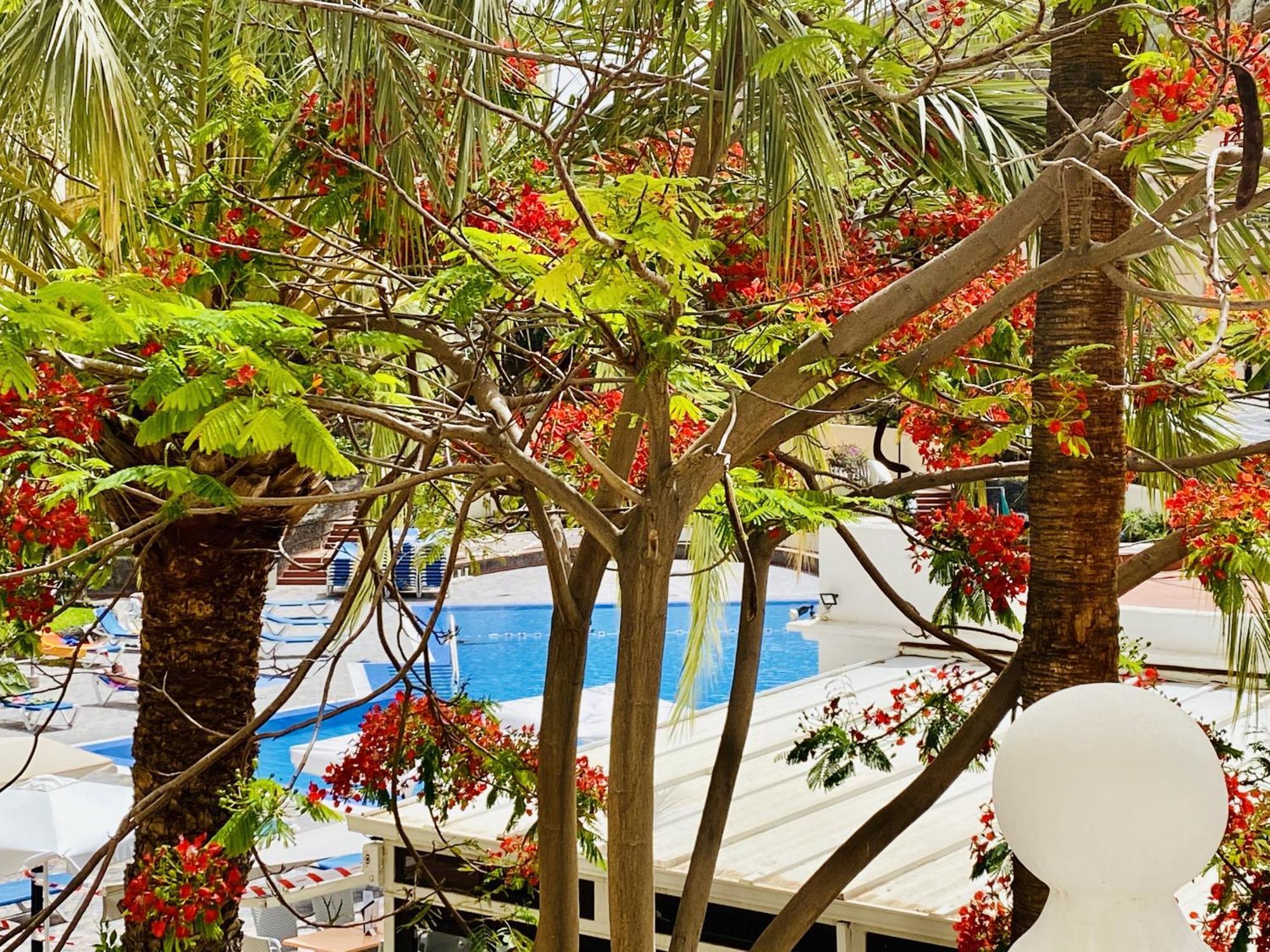 Castle Harbour Melanie'S Apartment By Lovetenerife 로스크리스티아노스 외부 사진